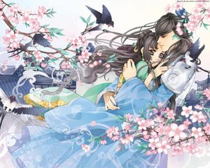 芒果回家不迷路